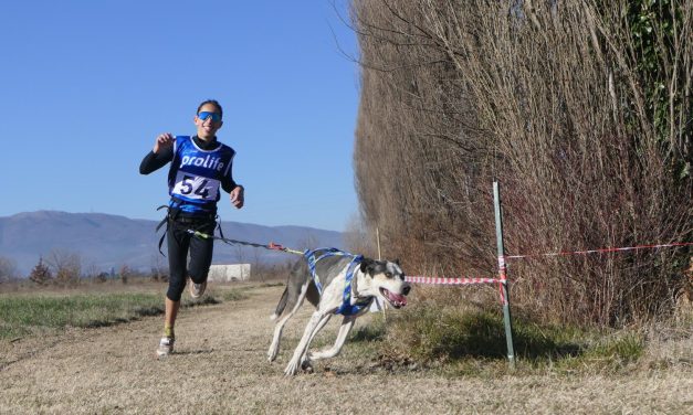 MORTEGLIANO OSPITA IL CAMPIONATO NAZIONALE CANICROSS CSEN 2025