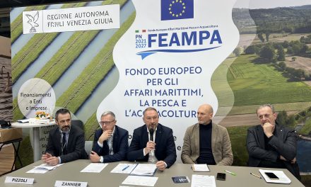 IL NETWORK E LE PROGETTUALITÀ DEI GALPA A SUPPORTO DELLO SVILUPPO DEL DISTRETTO DI PESCA NORD ADRIATICO