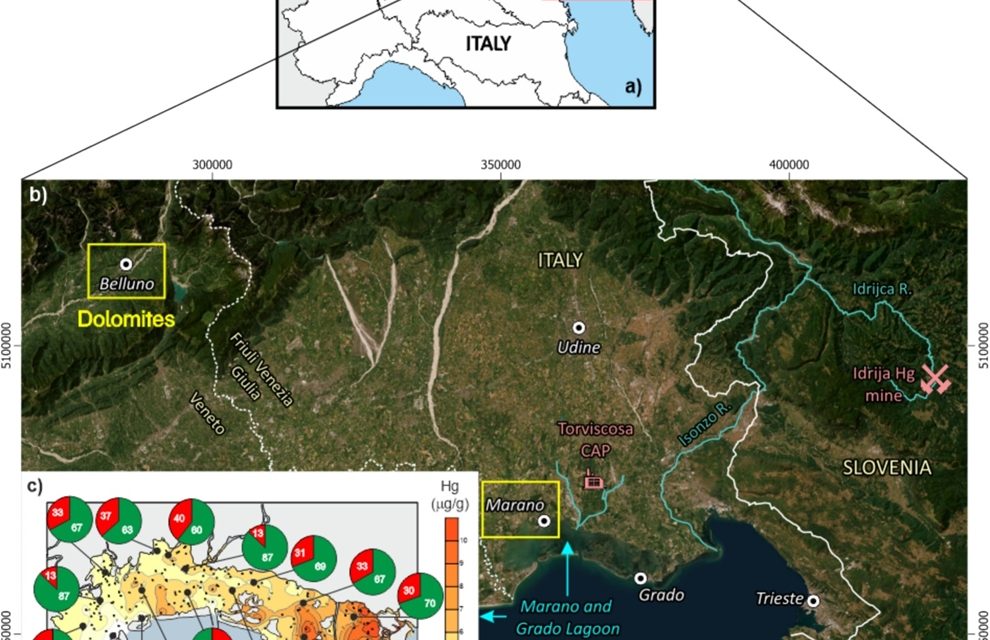 Studio condotto sui pescatori della laguna di Marano e Grado per il rilevamento dei livelli di mercurio