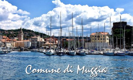 Muggia: disciplinare su stalli rosa