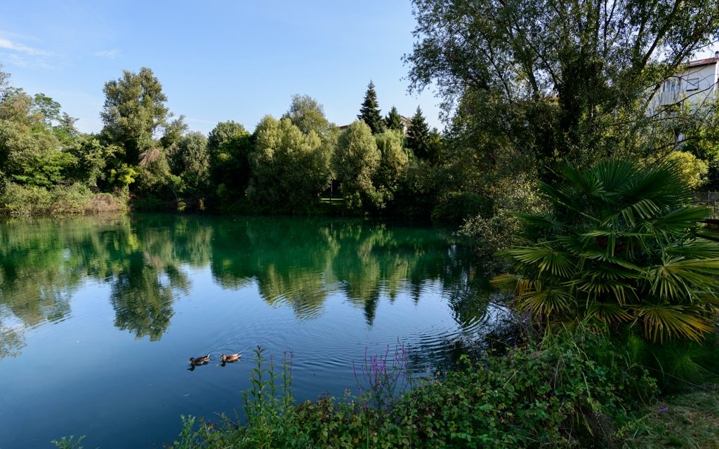 COMUNE DI PORDENONE: CHIUSURA DELL’INTERO PARCO SAN CARLO