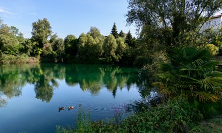 COMUNE DI PORDENONE: CHIUSURA DELL’INTERO PARCO SAN CARLO