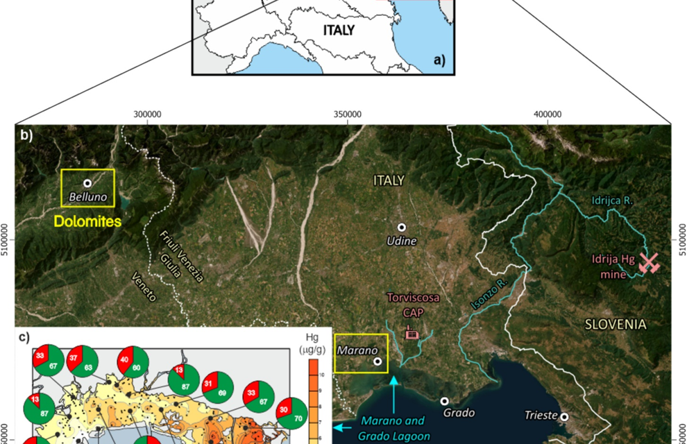 Studio sui livelli di mercurio nei pescatori della laguna di Marano e Grado pubblicato su Science of the Total Environment