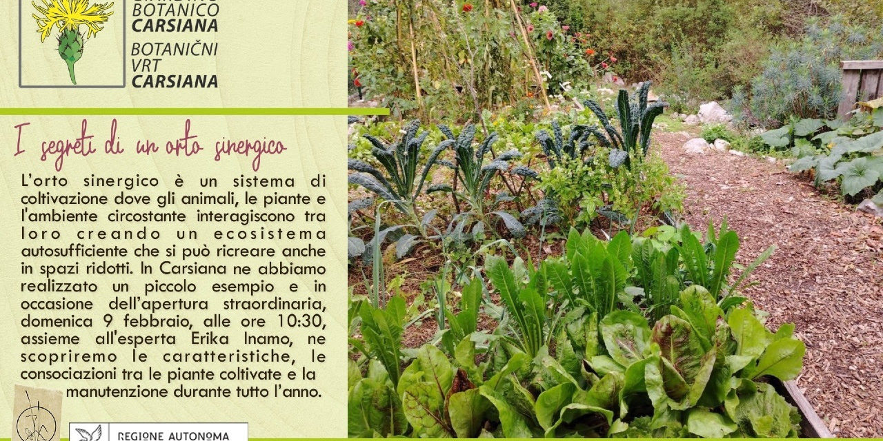 I segreti di un orto sinergico: un evento imperdibile al Giardino Botanico Carsiana