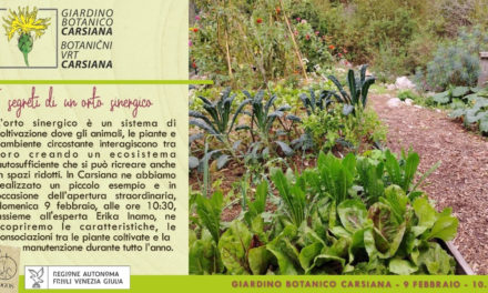 I segreti di un orto sinergico: un evento imperdibile al Giardino Botanico Carsiana