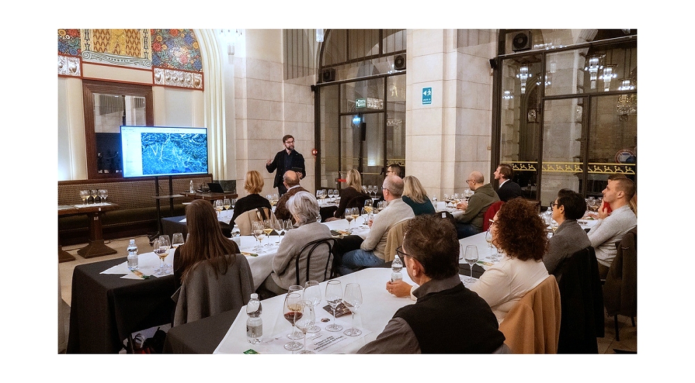 I Colli Orientali del Friuli nei Musei di Udine: il vino incontra l’arte