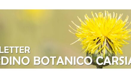 Scoprendo gli uccelli del Carso al Giardino botanico Carsiana