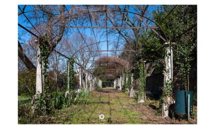 PRESENTATO IL RESTAURO CONSERVATIVO DEL COLONNATO SITUATO NELLA PARTE SUPERIORE DEL GIARDINO DI VILLA ENGELMANN. L’INTERVENTO AVRÀ UN COSTO COMPLESSIVO DI 250.000 EURO E I LAVORI UNA DURATA DI 120 GIORNI